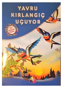 Yavru Kırlangıç Uçuyor   İki Seçenekli Öyküler Dizisi  Beyaz  Pusula