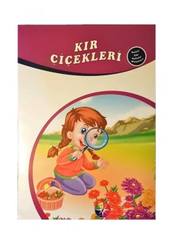 Kır Çiçekleri Belirli Günler Haftalar Hikayeleri Beyaz Pusula