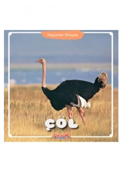 Çöl-Hayvanlar Dünyası Yumurcak