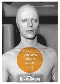 Dünyaya Düşen Adam Walter Tevıs Everest