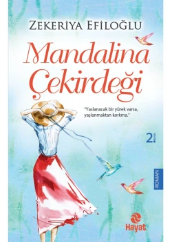 Mandalina Çekirdeği   Zekeriya Efiloğlu   Hayat