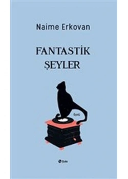 Fantastik Şeyler Naime Erkovan Şule Yayın