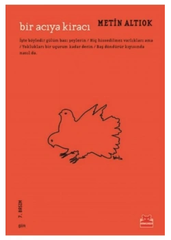 Bir Acıya Kiracı Metin Altıok Kırmızı Kedi