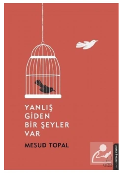 Yanlış Giden Birşeyler Var Mesud Topal Destek