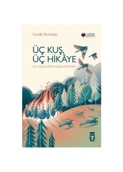 Üç Kuş Üç Hikaye Camillo Bortolato Timaş Çocuk