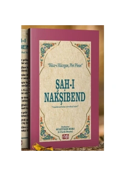 Şahi Nakşi̇Bend Faruk Meyan Ali̇Oğlu Yayın