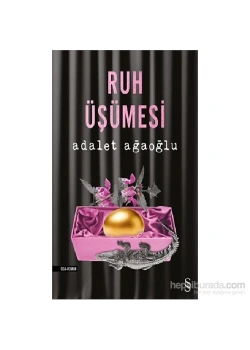 Ruh Üşümesi  A.Ağaoğlu   Everest