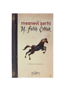 Mesnevi Şerhi Padişah Cariye Kıssası - Sufi Kitap