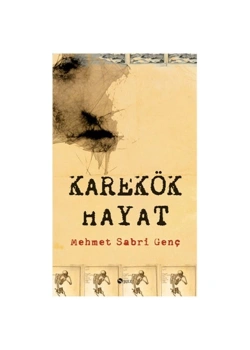 Karekök Hayat. M.Sabri Genç Şule