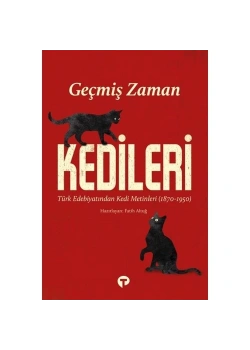 Geçmiş Zaman Kedileri   Fatih Altuğ    Turkuvaz