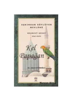 Kel Papağan Mesnevi Şerhi 2.Hikaye  Msb