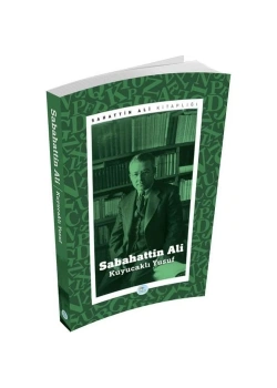 Kuyucaklı Yusuf Sabahattin Ali Mavi Çatı