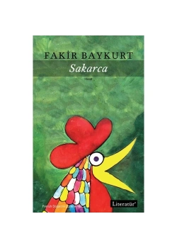 Sakarca Fakir Baykurt Literatür
