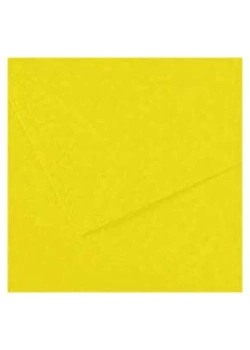 Alex Schoeller Kolej Fon Kartonu Sarı 160 Gr 50X70 No:53