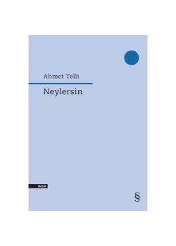 Neylersin Ahmet Telli Everest