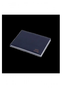 Gülpaş Revir Defteri Suni Deri 21X30 100 Yp   542