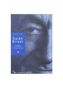 Boğaziçi Şıngır Mıngır   Salah Birsel   Sel