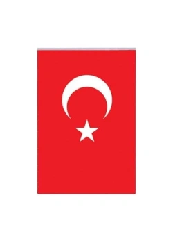 Vatan Vt 103 40X60 Cm Türk Bayrağı
