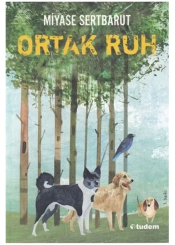 Sisin Sakladıkları-2 Ortak Ruh  Miyase Sertbarut  Tudem