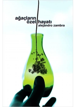 Ağaçların Özel Hayatı Notos