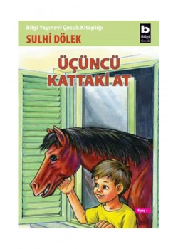 Üçüncü Kattaki At    Sulhi Dölek      Bilgi