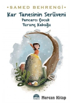 Kar Tanesinin Serüveni Samed Behrengi Martı Çocuk