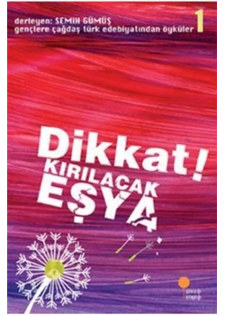 Dikkat Kırılacak Eşya Günışığı