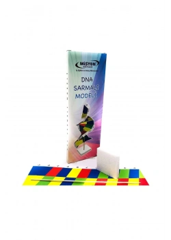 Misyon Dna Sarmalı Modeli