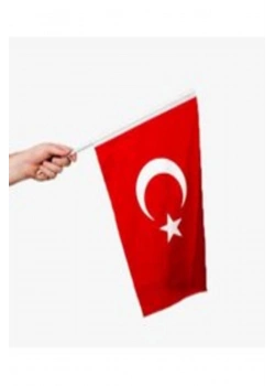 Türk Bayrağı Sopalı  20X30 Alpaka