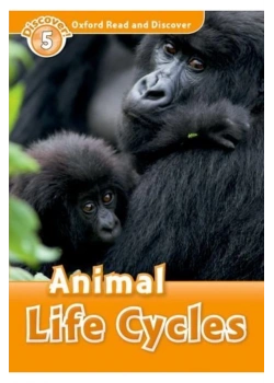 Animal Life Cycles  Oxford