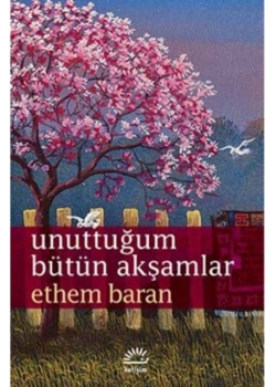 Unuttuğum Bütün Akşamlar  Ethem Baran  İletişim