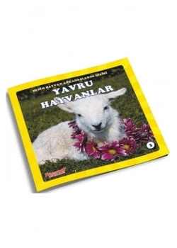 Yavru Hayvanlar   Benim Hayvan Arkadaşlarım  Yumurcak