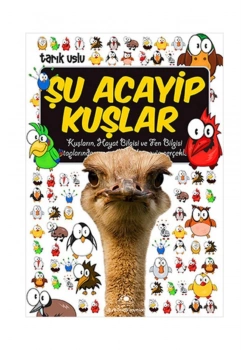 Şu Acayip Kuşlar Uğurböceği