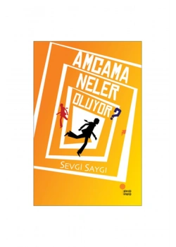 Amcama Neler Oluyor ? Günışığı