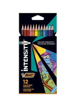 Bic Color Up Kuru Boya12 Renk