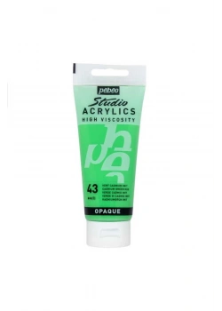 Pebeo Akrilik Boya 100 Ml Studıo Yeşil 831-043