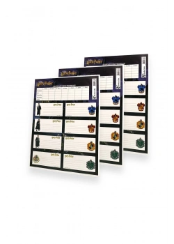 Keskin Color Harry Potter Ders Programı 3 Lü Etiket Kod:220130-07