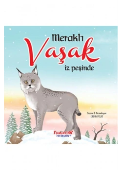 Meraklı Vaşak İz Peşinde Büyük Boy Renkli  Yumurcak