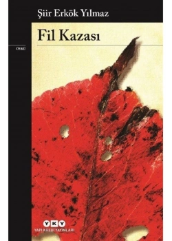 Fil Kazası Şiir Erkök Yılmaz Yapı Kredi