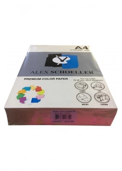 Alex Schoeller Renkli̇ Fotokopi̇ Kağidi 500 Lü A4 Şampanya Alx-500