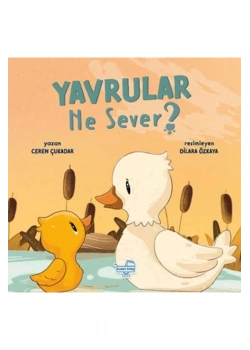 Yavrular Ne Sever Karavan Çocuk