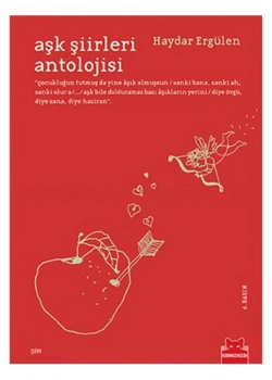 Aşk Şiirleri Antolojisi Haydar Ergülen Kırmızı Kedi