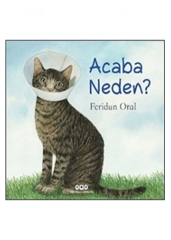 Acaba Neden Feridun Oral Yapı Kredi
