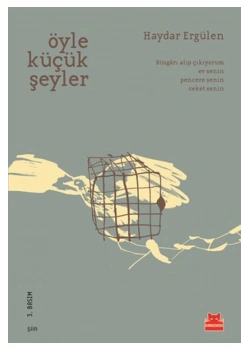 Öyle Küçük Şeyler Haydar Ergülen Kırmızı Kedi