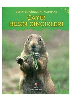 Çayır Besin Zincirleri Tübitak