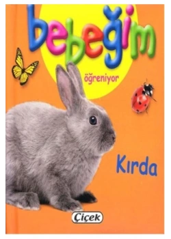 Bebeğim Öğreniyor Kırda Çiçek Yayın