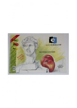Alex Schoeller 25X35 120 Gr Resi̇M Defteri̇