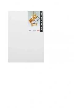 Max Profesyonel Tuval 35X50
