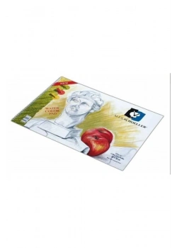Alex Schoeller Spr Resi̇M Defteri̇ 25X35 120Gr