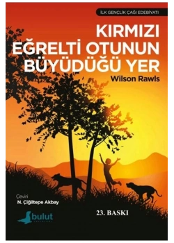 Kırmızı Eğrelti Otunun Büyüdüğü Yer  Wilson Rawis   Bulut